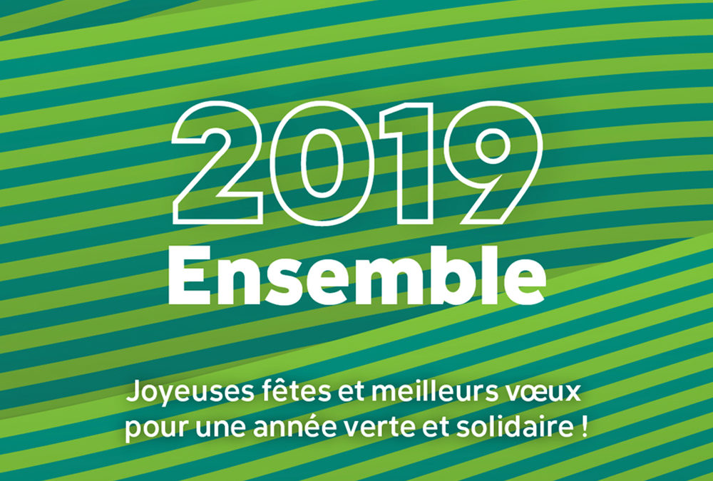 Meilleurs vœux pour 2019 !