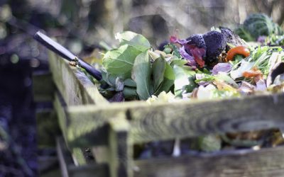 Zéro déchet : la pratique du compostage à domicile